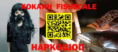 спиды Кингисепп