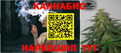 спиды Кингисепп