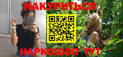спиды Кингисепп