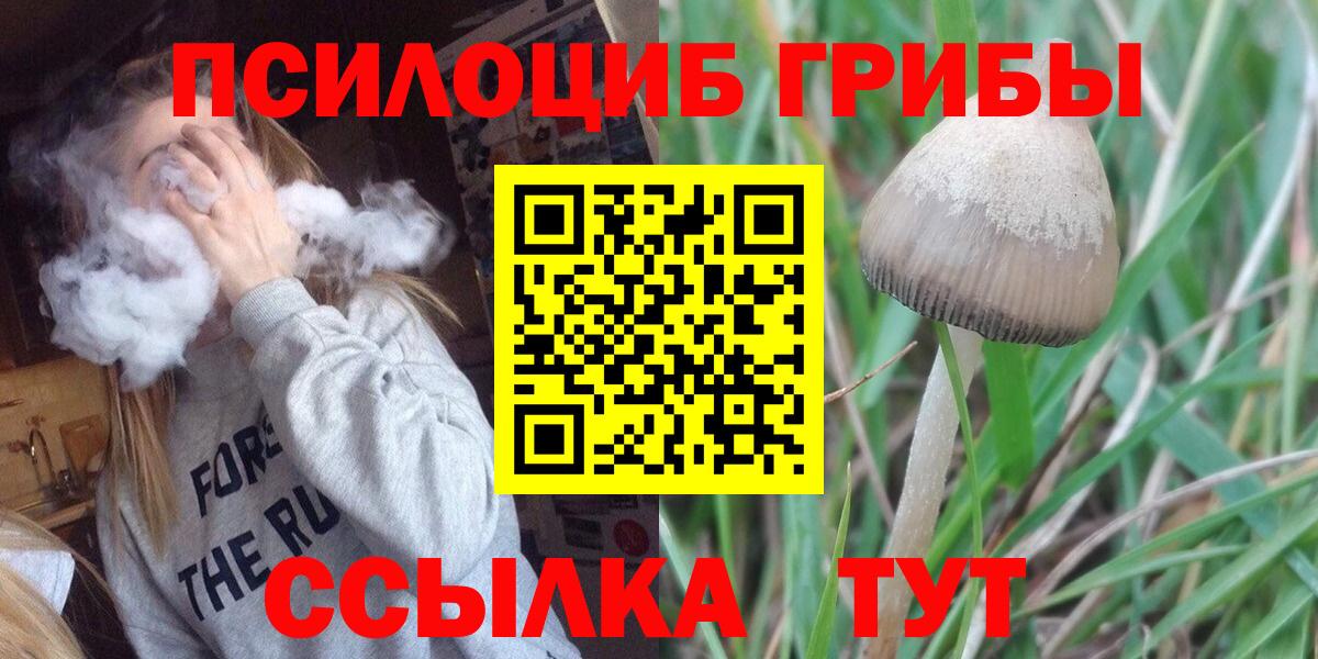 Псилоцибиновые грибы MAGIC MUSHROOMS Фрязино